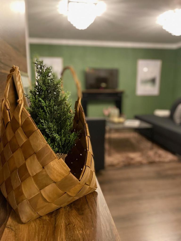 Blackforest Apartment photo 1
