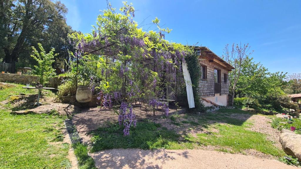 A Cantina Chalet avec Piscine proche d Ajaccio