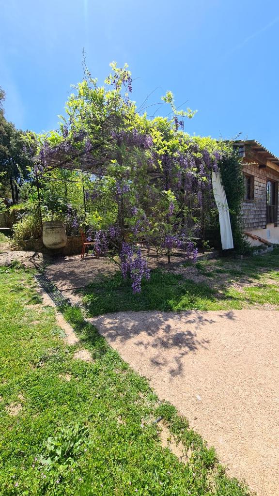 A Cantina Chalet avec Piscine proche d Ajaccio photo 1