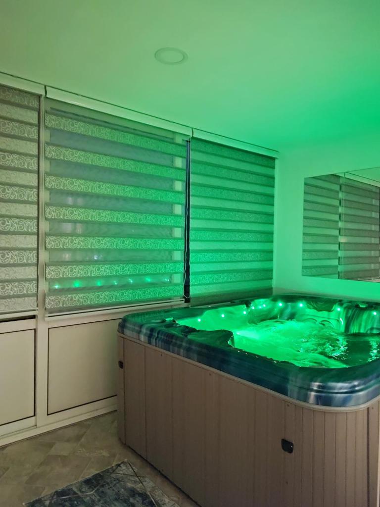 Spa apartman Iva photo 2
