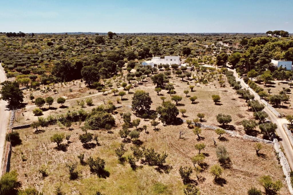 Masseria Fenicia photo 1