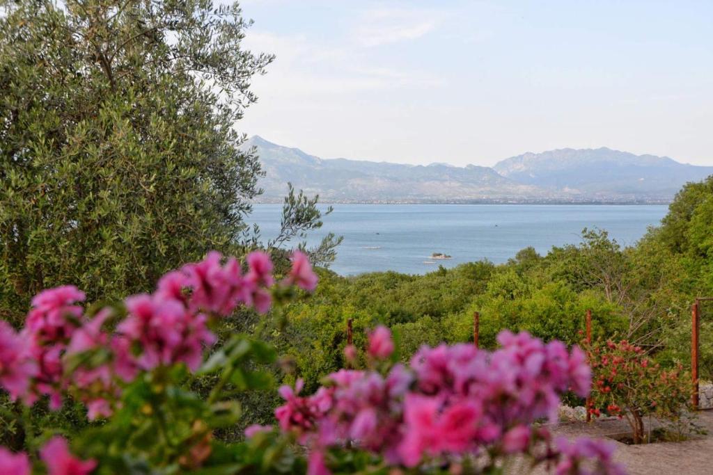 Skadar Lake House photo 4