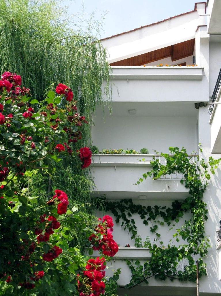 Guest House Barbov photo 1