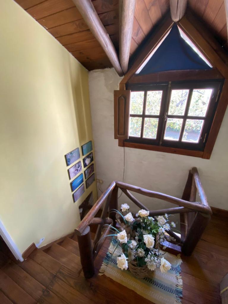 Casa Azul photo 2