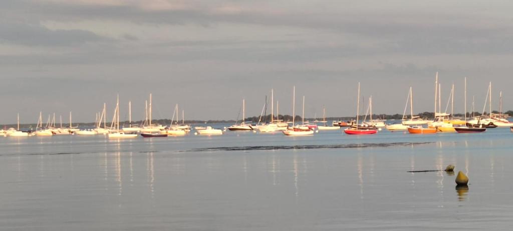 Au Bord du Golfe du Morbihan photo 2