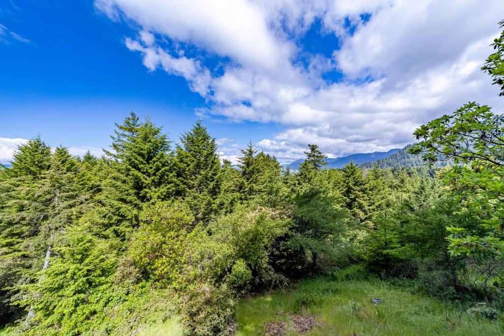 Lost Coast Hideaway photo 4