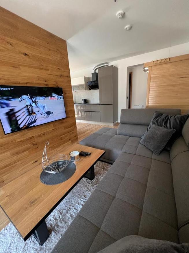 Luxusní Apartmán GRAND v centru Harrachova se soukromou Mega terasou, s privátním parkováním zdarma, s možností dobíjení wallbox EV a výhledem na Harrachovský kostelíček photo 1