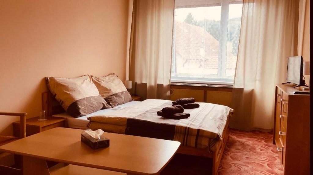 Hotel Slatina photo 1
