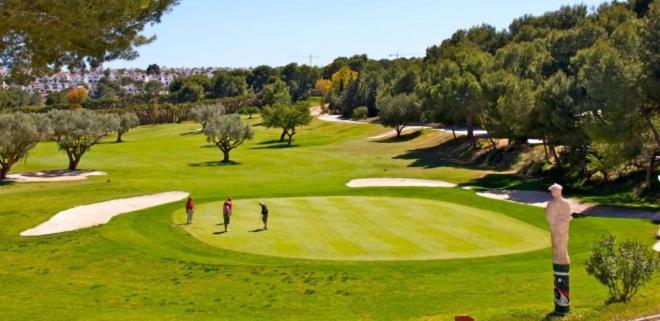 Villamartin Golf & Beach photo 3