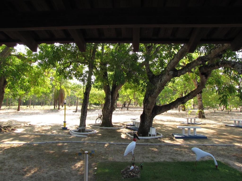 Hotel Fazenda Arara Azul photo 3