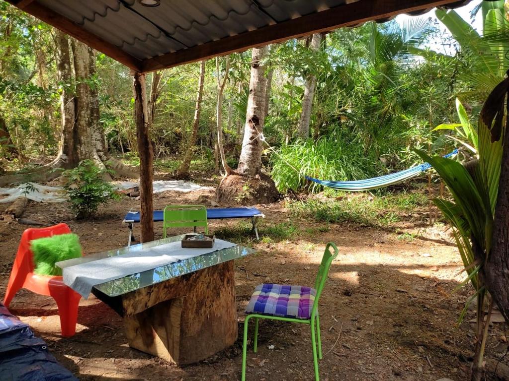 Jungle Tent 3x3, Latino Glamping & Tours, Paquera photo 4