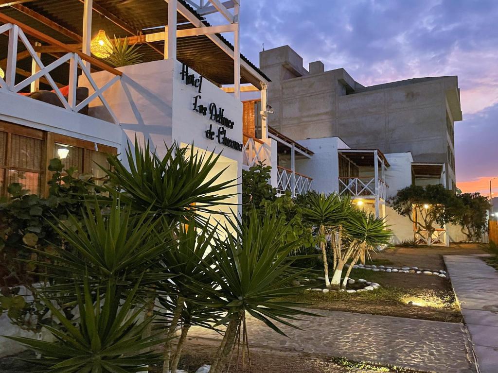Delfines de Chicama Hotel photo 1