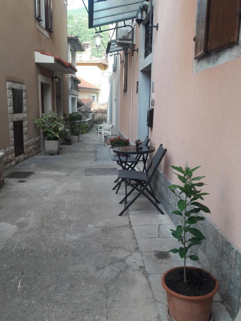 Padelica photo 2