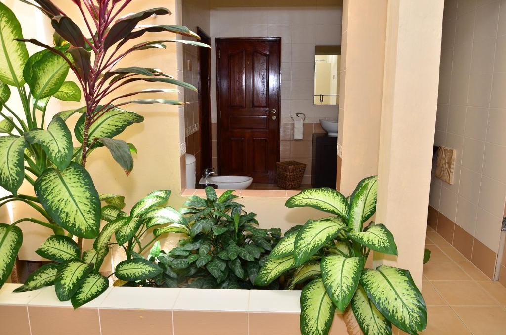 Двухместный (Двухместный номер Делюкс с 1 кроватью), BayView Seychelles