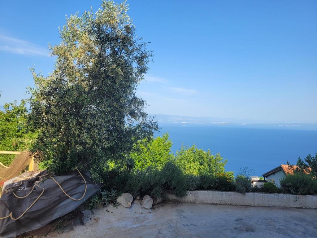 Ferienwohnung mit Pool Kroatien mit Meerblick und Pool photo 3