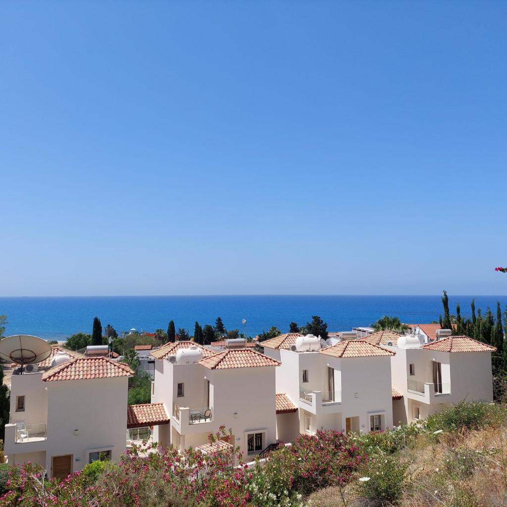 Villa Felix photo 4