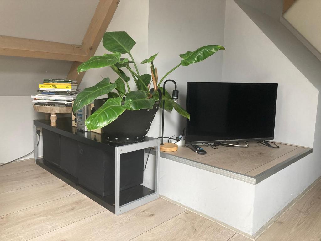 BBOosterweg3 Studio photo 4