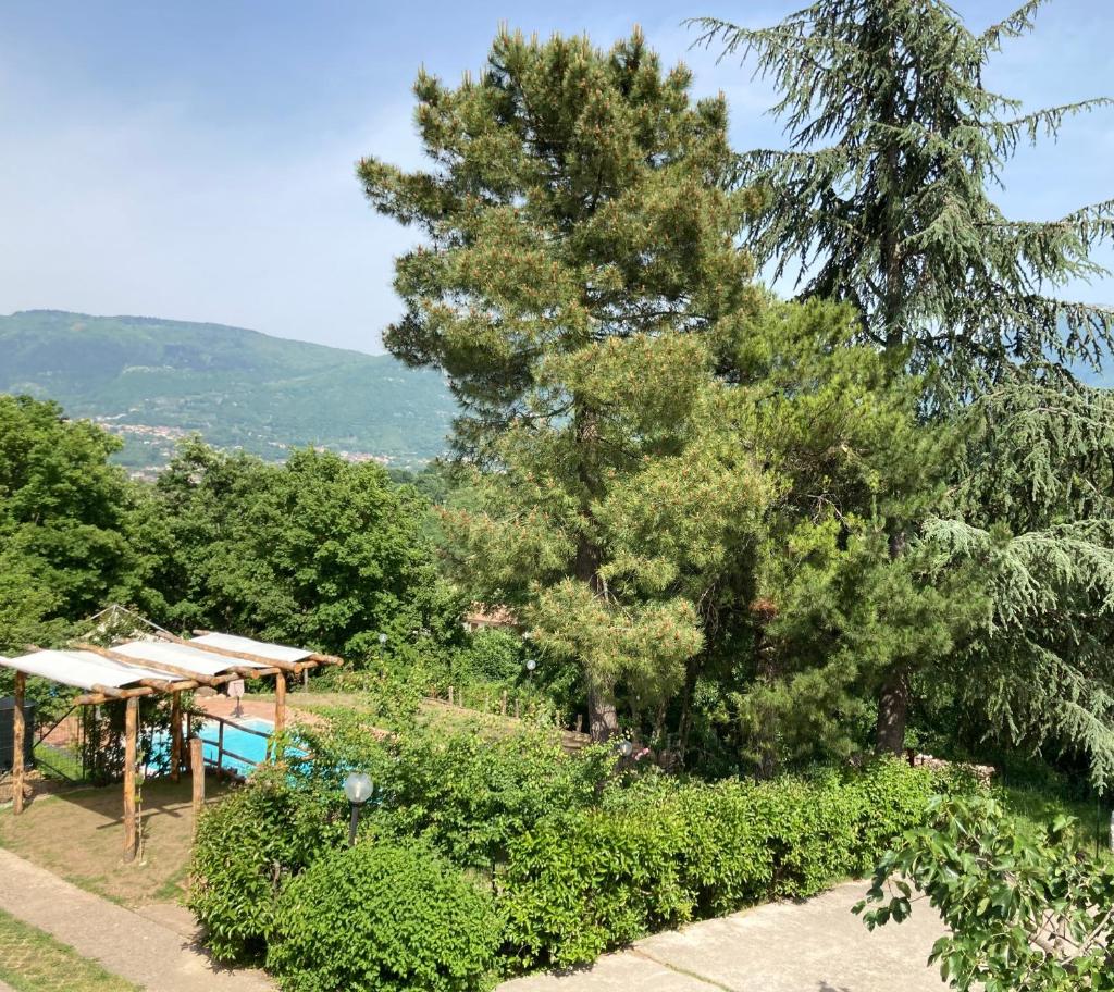 Villa Gioia relax immersi nel verde photo 1