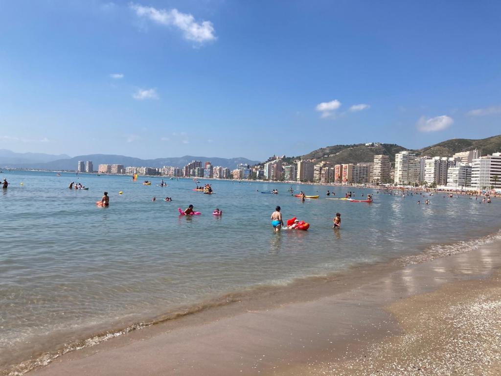 Florazar 2 Cullera photo 1