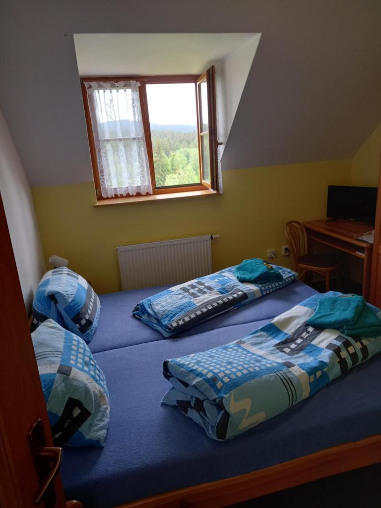 Hotel Nové Údolí photo 4