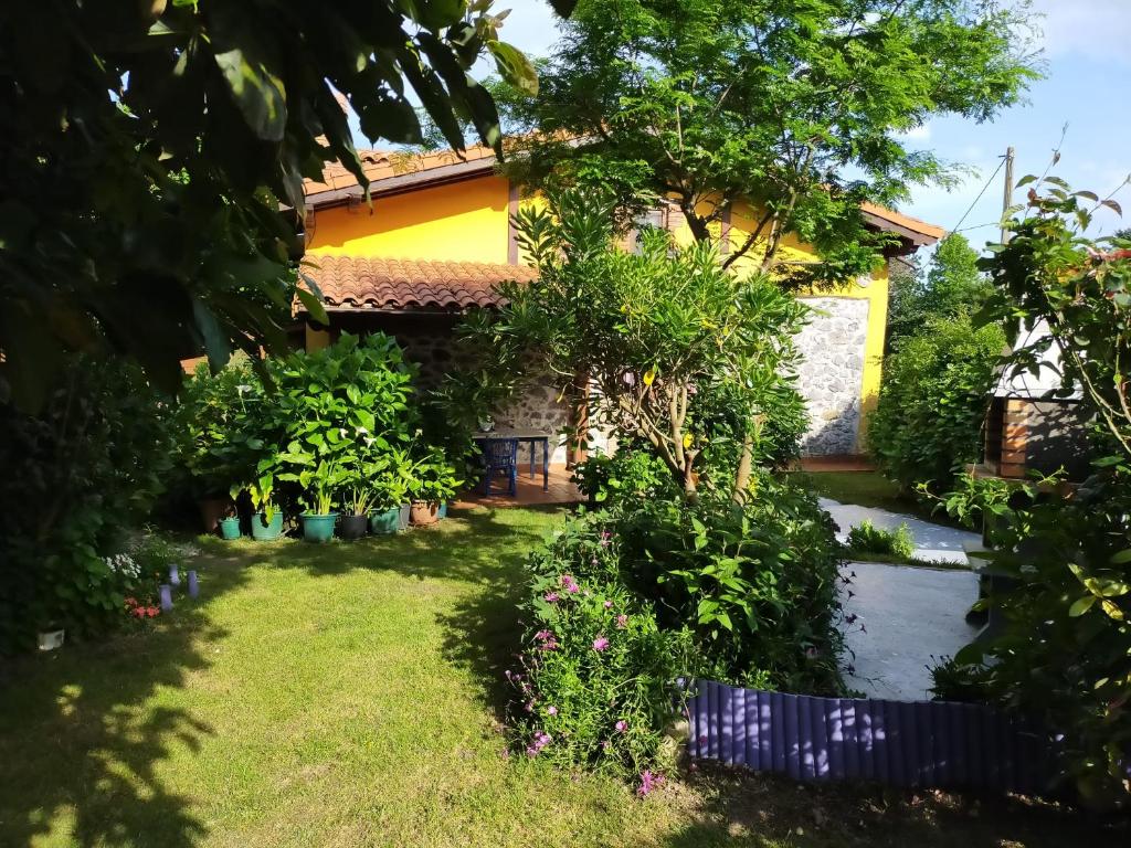 La casita de las flores photo 3