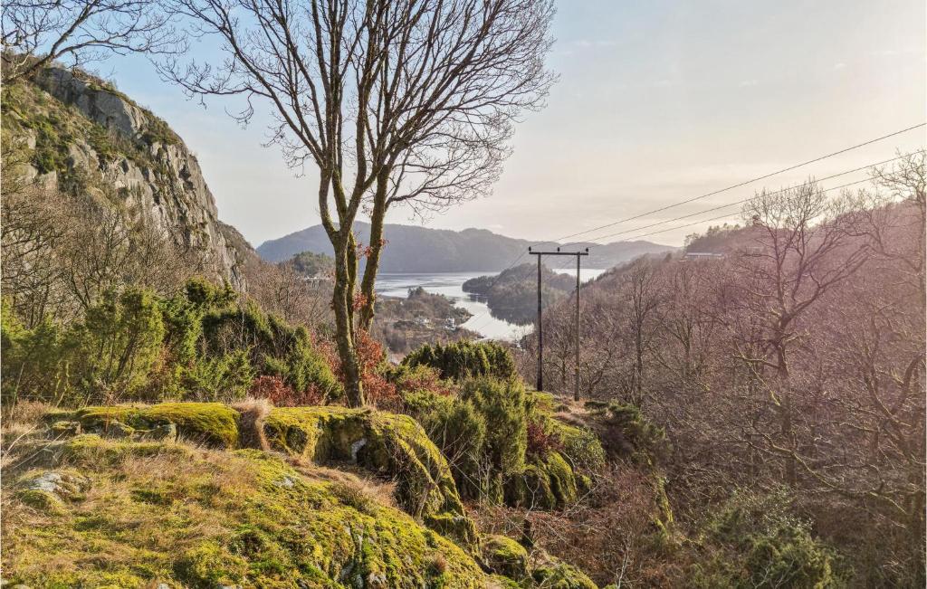 Nice Home In Lyngdal With Wifi And 4 Bedrooms photo 2
