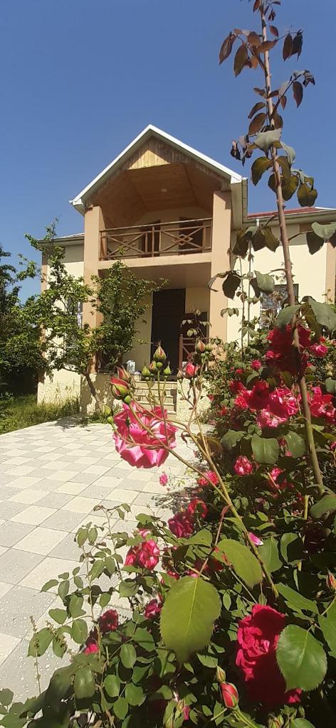 Gabala Sweet Home photo 1