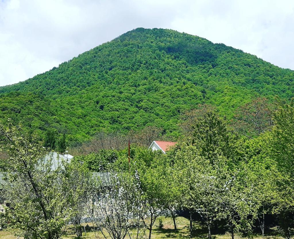 Gabala Sweet Home photo 3