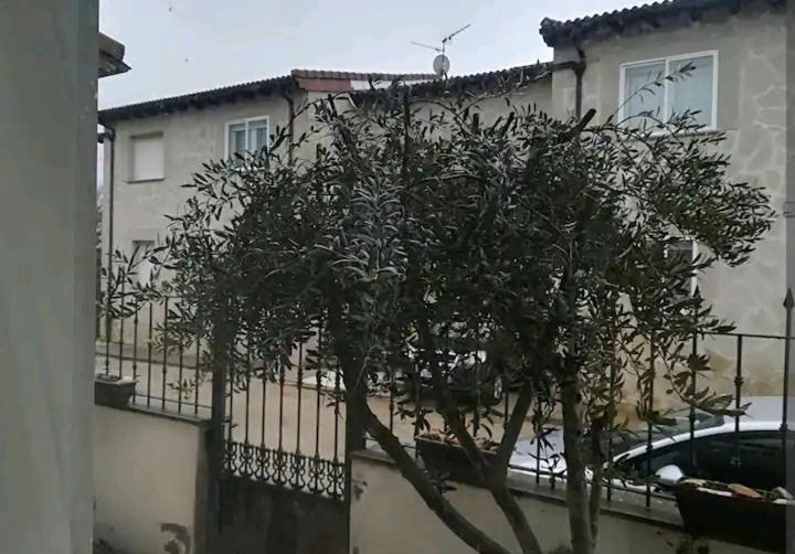 Vivienda adosada , con merendero en Carcedo photo 2