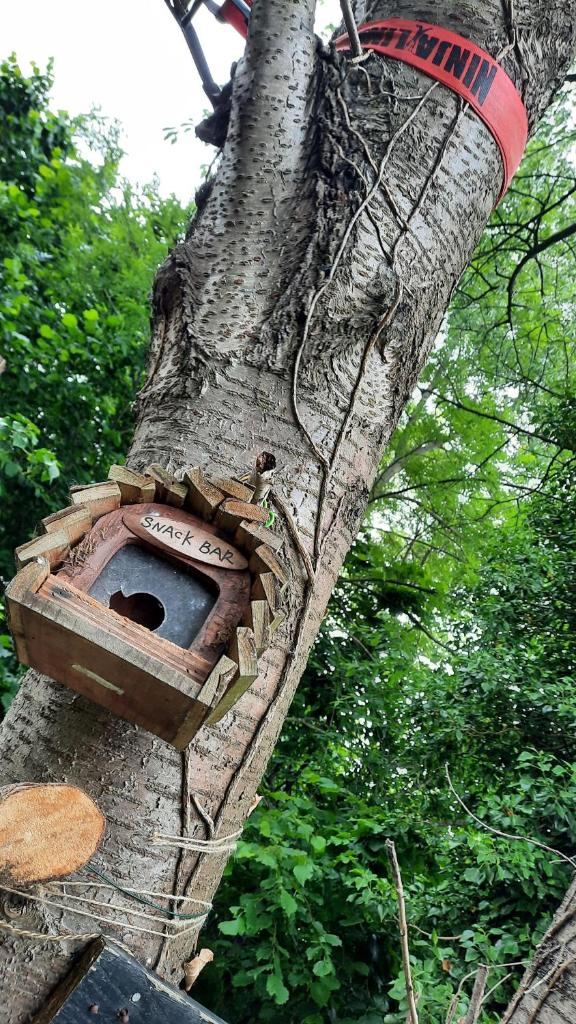 Glamping Zonnebloem - Back-to-Nature photo 1