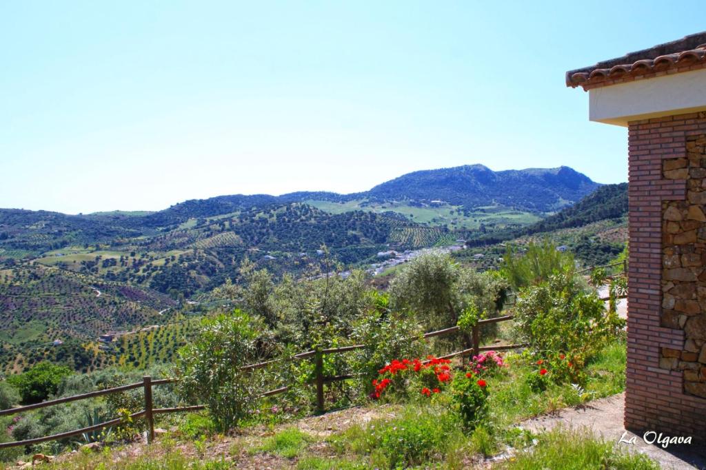 La Olgava photo 4