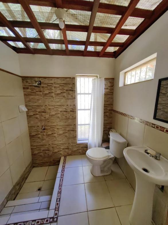 Albertico Jungle House photo 2