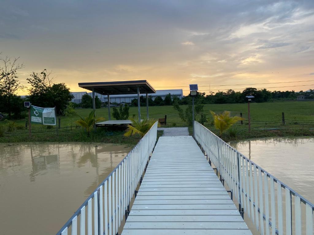 Baan Suan Palm Resort photo 1