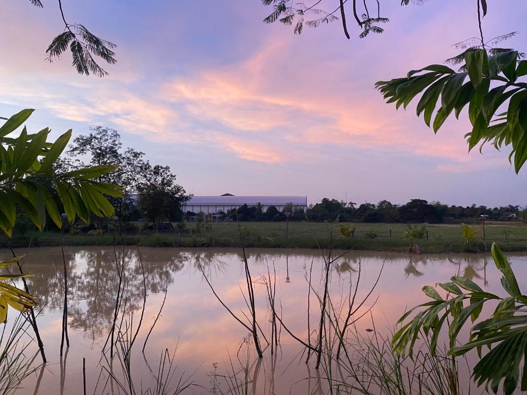 Baan Suan Palm Resort photo 3