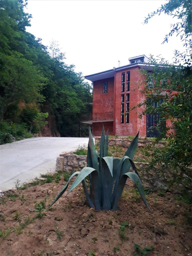 Mango's Guesthouse photo 1