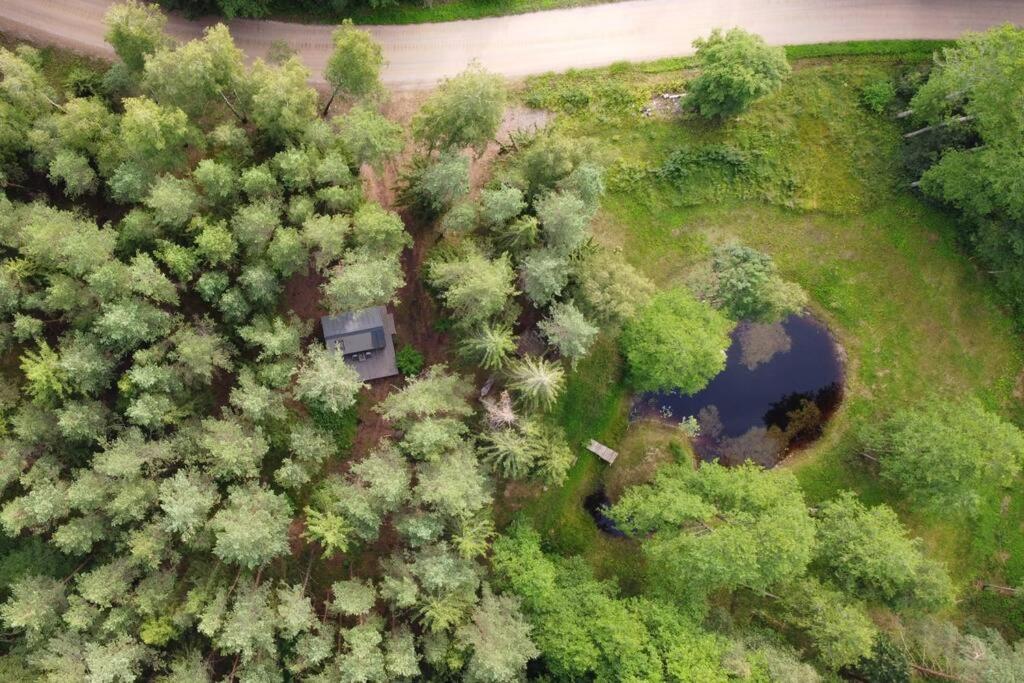 Private cosy forest cabin photo 1