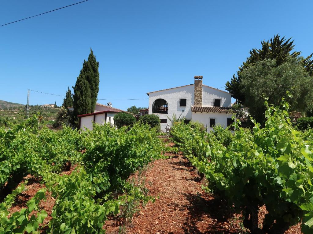 Casa Llibertat boutique stay with spa photo 4