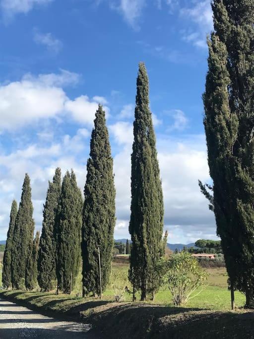 Piccolo appartamento immerso nella campagna photo 4