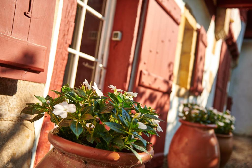 Maison Dominxenea photo 4