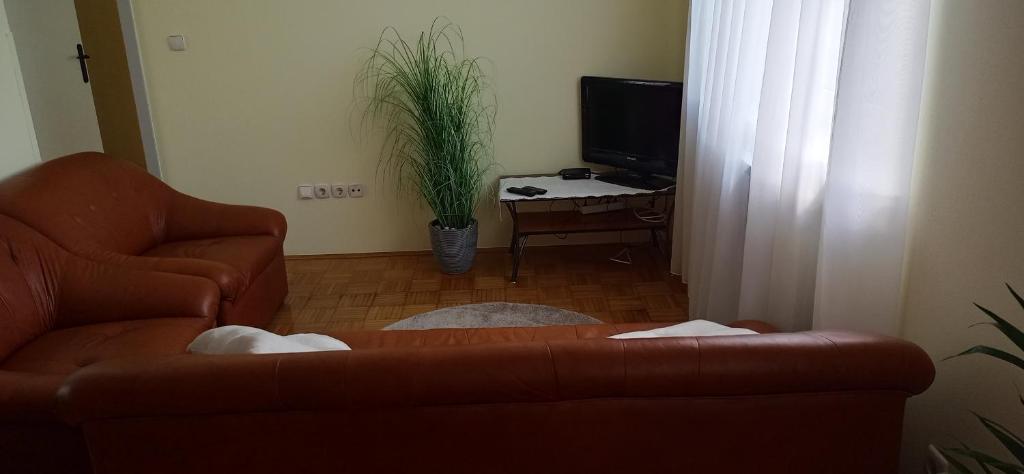 Apartma Rogaska riviera photo 2