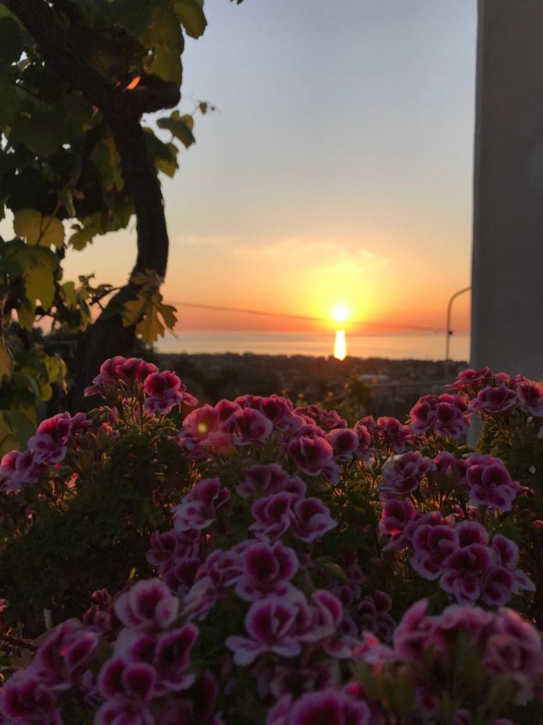B&B Il Tramonto photo 3