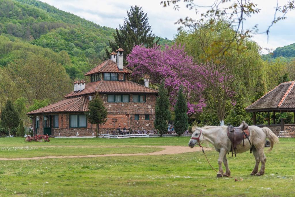 B&B Etno Village Sunčana Reka photo 1