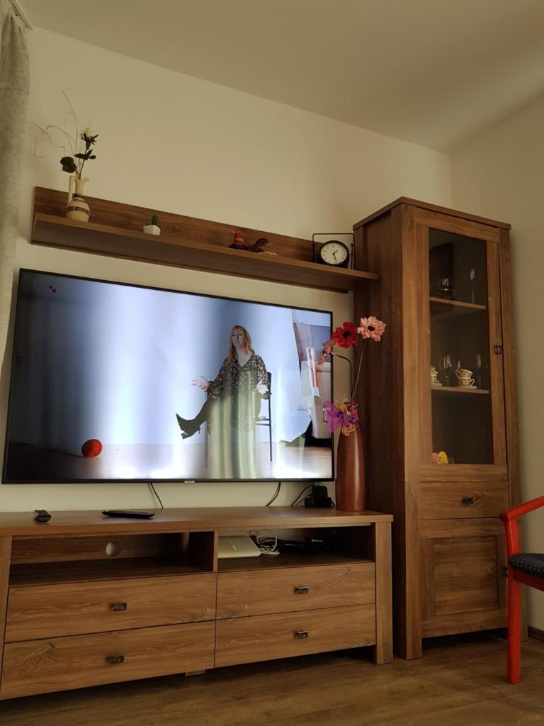 apartman Amigo photo 2