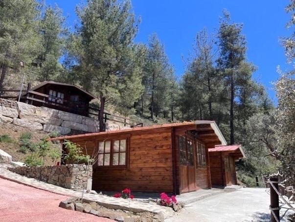 Bosco Paradiso photo 1