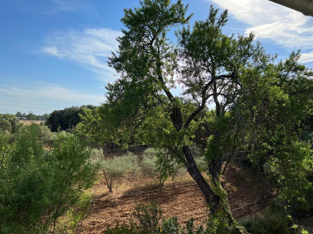 Mas Coeur de Provence Calme Luxe Grand Parc photo 2