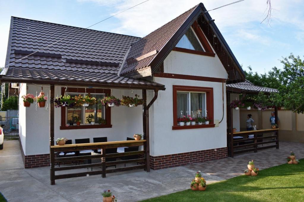 Casa de vacanță Dalia și Crina photo 3