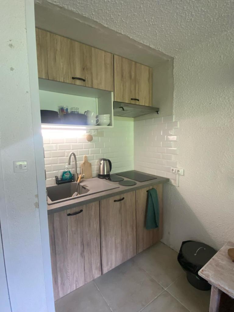 Appt chaleureux 2 - 4 personnes au pied des pistes - draps et linges de toilette non fournis - ménage non inclus photo 2