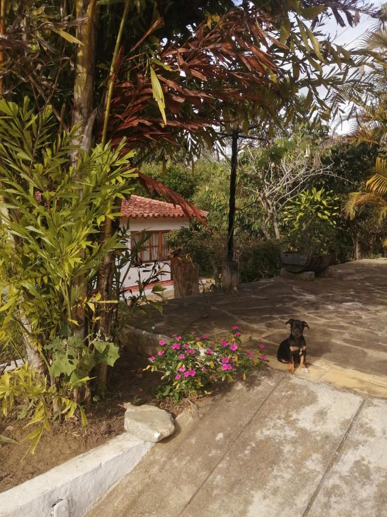 Hotel Ecoposada Viña de Aldana photo 2