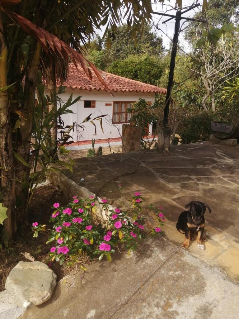 Hotel Ecoposada Viña de Aldana photo 1