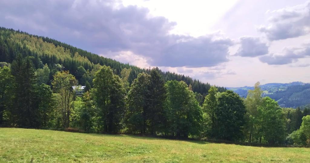 Malá Hofmanka, horská chalupa na samotě, Krkonoše photo 3